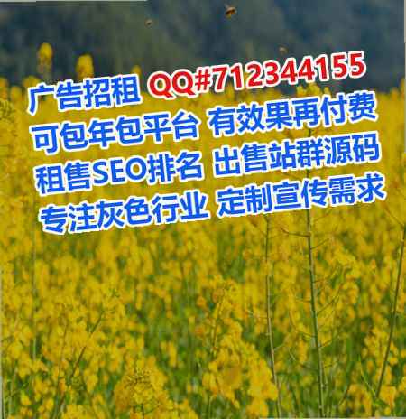 名山借腹生子箱包公司